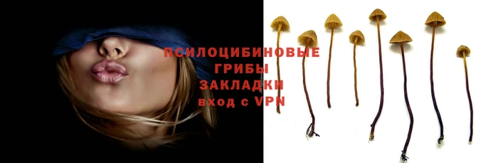 а пвп мука Мегион