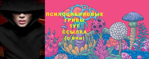 MDMA Богородицк