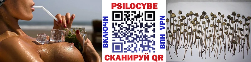 Псилоцибиновые грибы Psilocybe  Разумное 